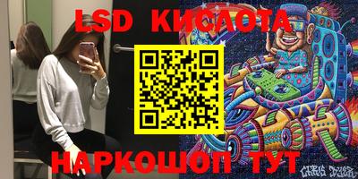 PSILOCYBIN Заводоуковск