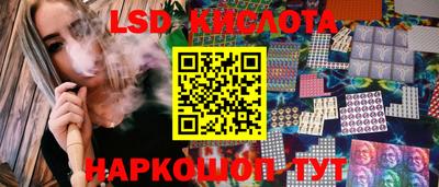PSILOCYBIN Заводоуковск