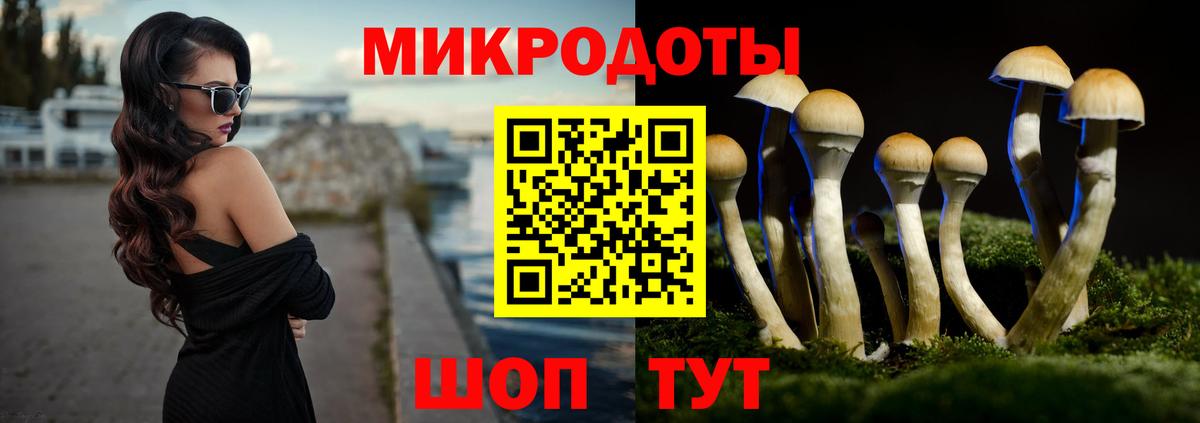 Псилоцибиновые грибы MAGIC MUSHROOMS Урус-Мартан